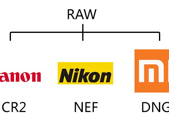 Расширение .nef. Чем открыть этот формат?